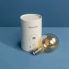Ampoule filament Loop, style vintage, dimmable