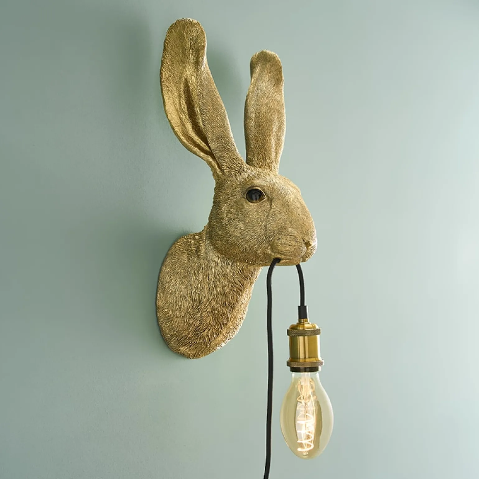 Applique Lapin Hasi, or
