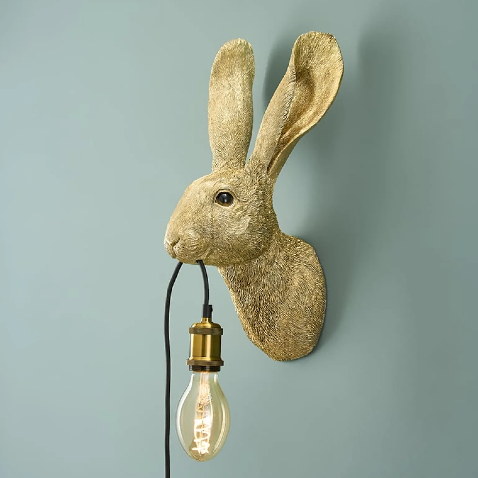 Applique Lapin Hasi, or