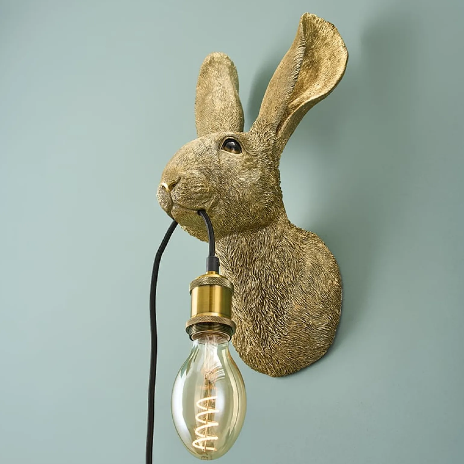 Applique Lapin Hasi, or