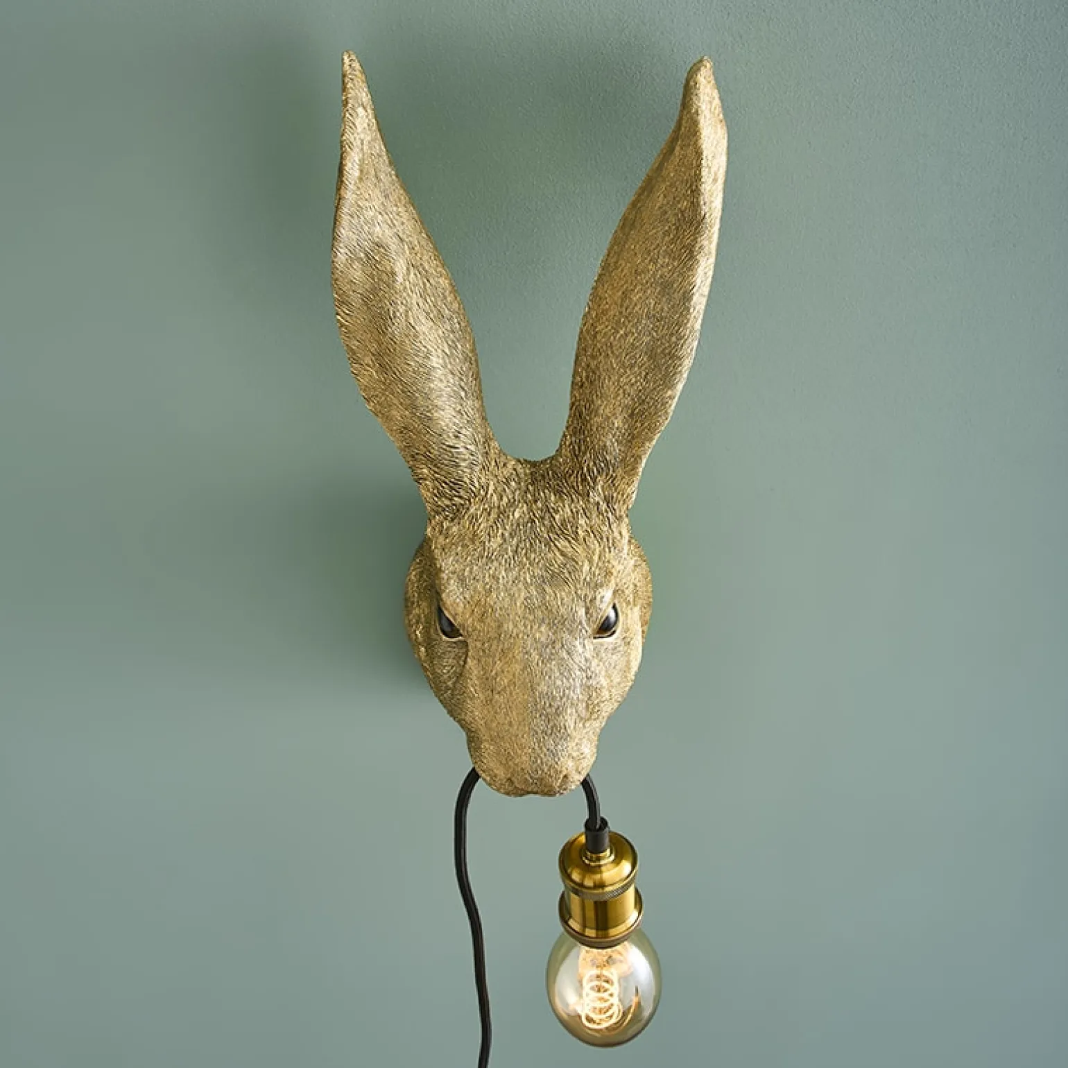 Applique Lapin Hasi, or