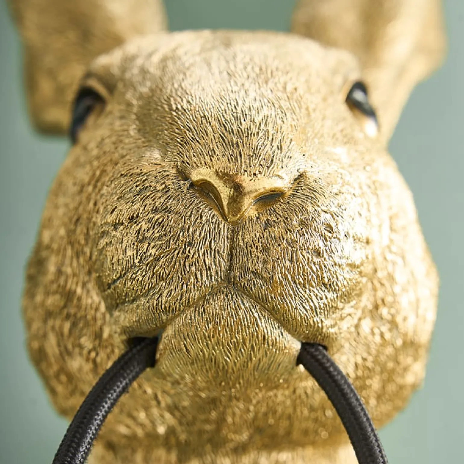 Applique Lapin Hasi, or