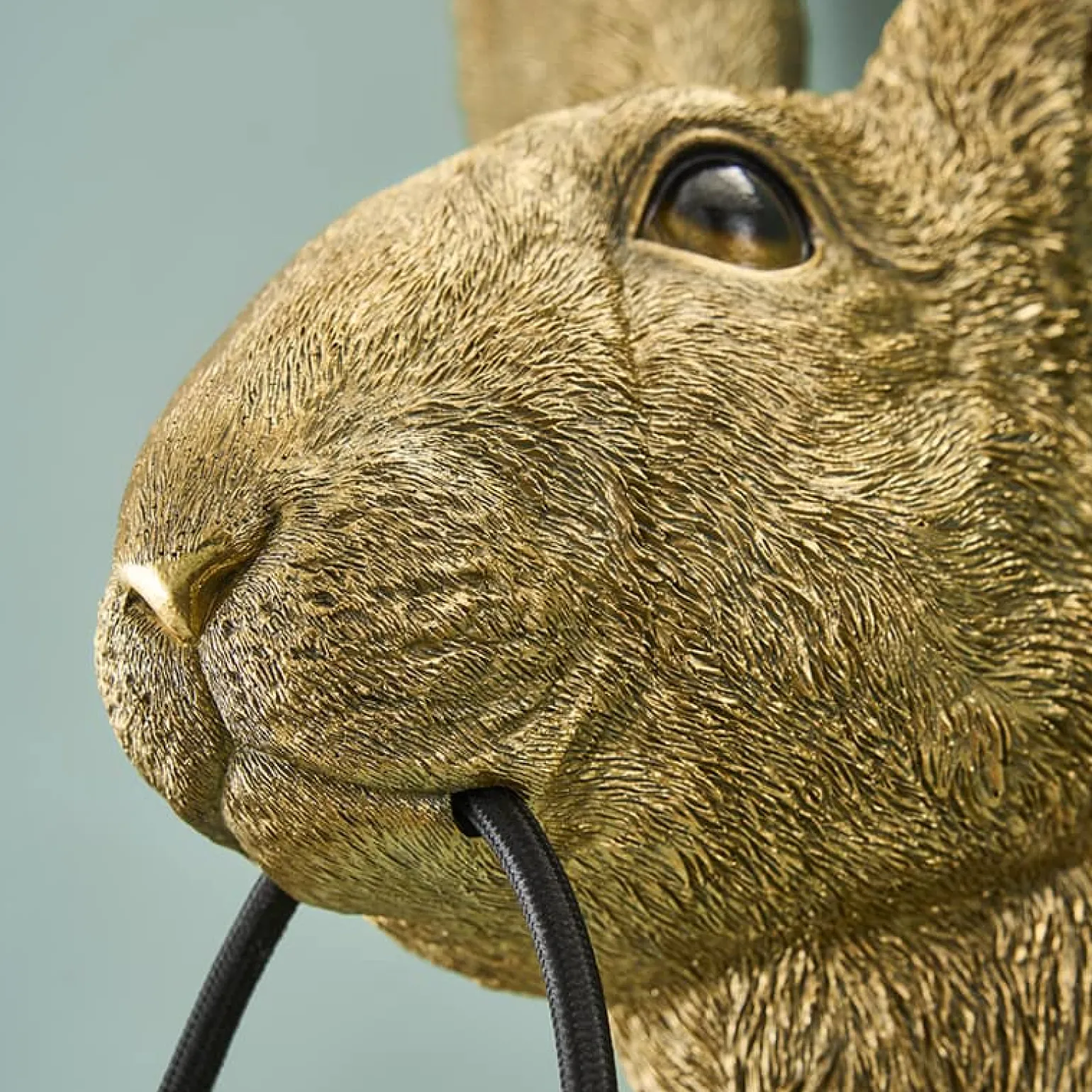 Applique Lapin Hasi, or