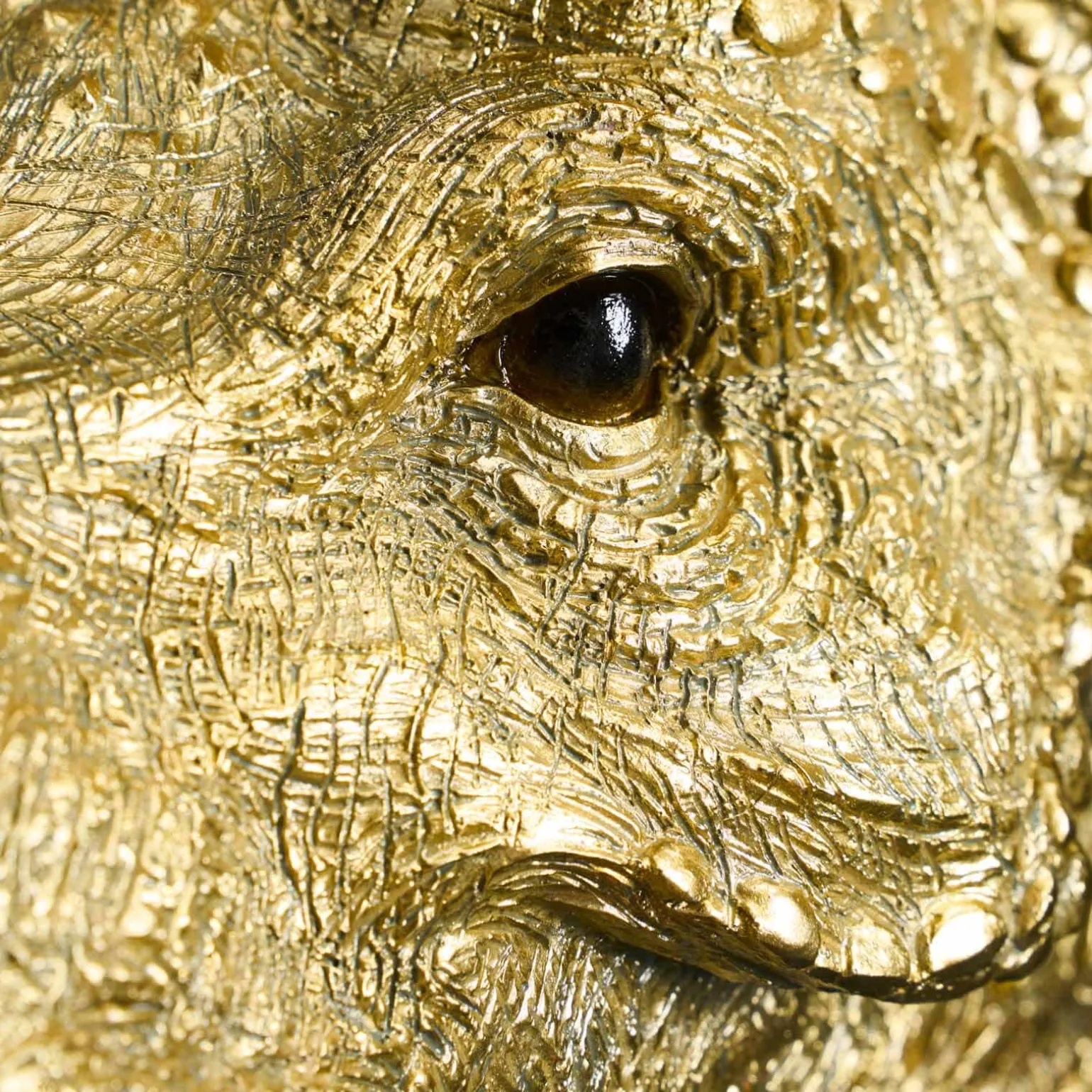 Applique murale dinosaure Triceratops Cera, or