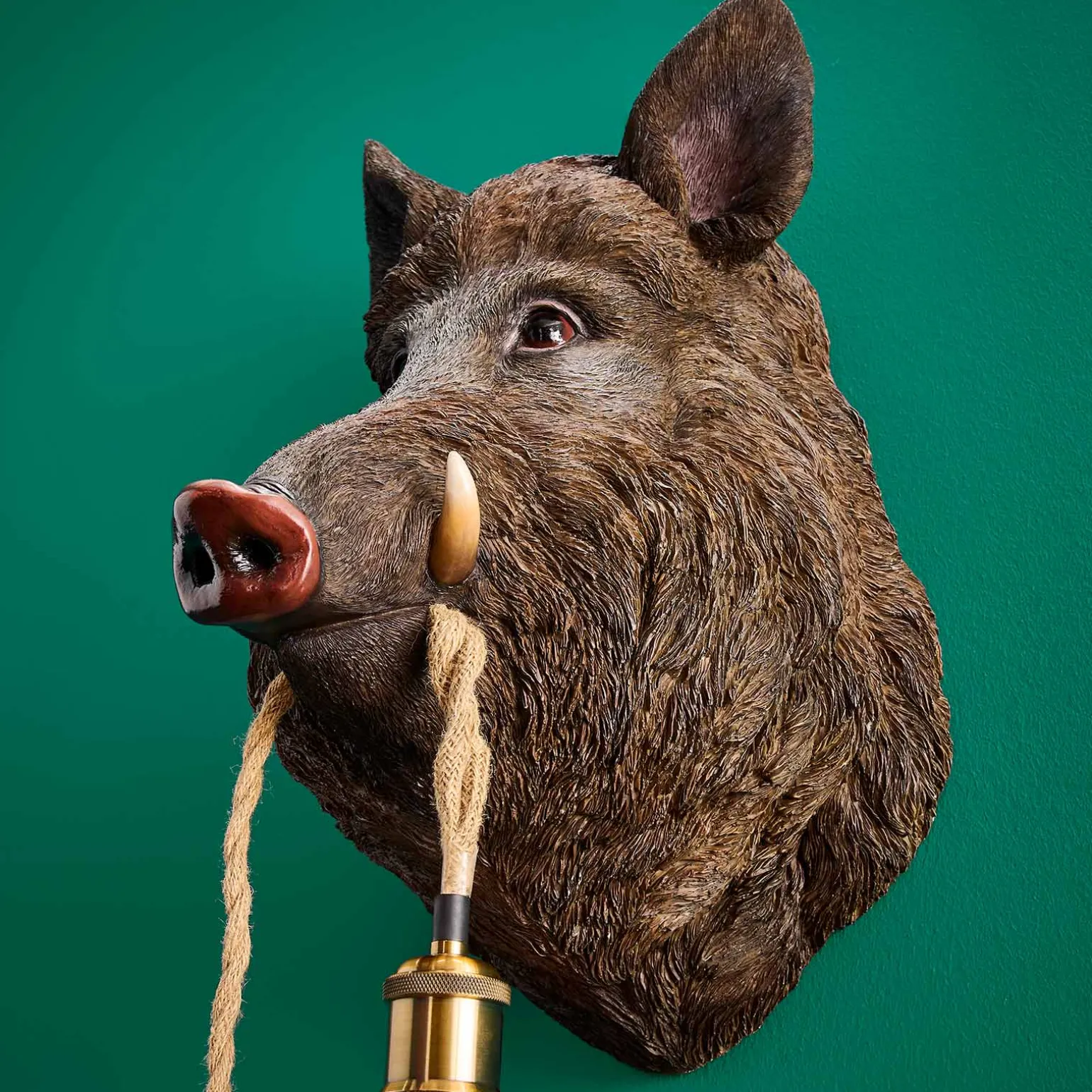 Applique sanglier / cochon Willy, marron