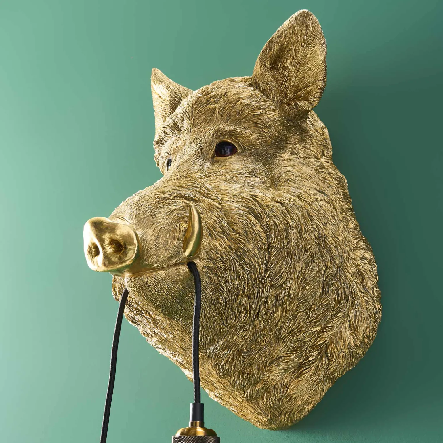 Applique sanglier / cochon Willy, or