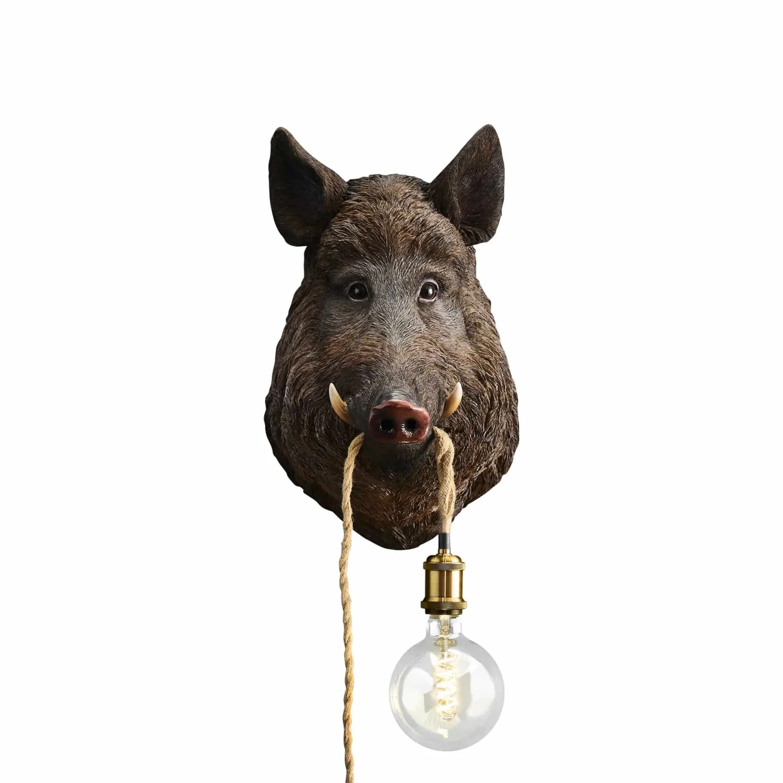 Applique sanglier / cochon Willy, marron