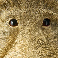 Applique sanglier / cochon Willy, or