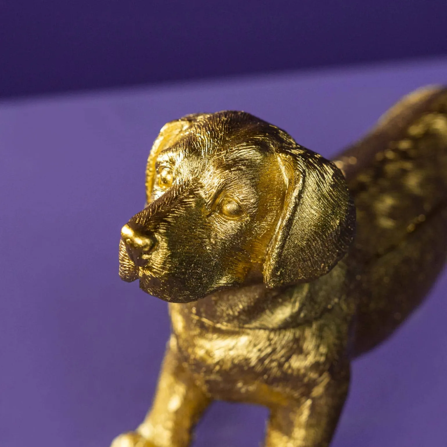 Boîte decorative chien, teckel, or