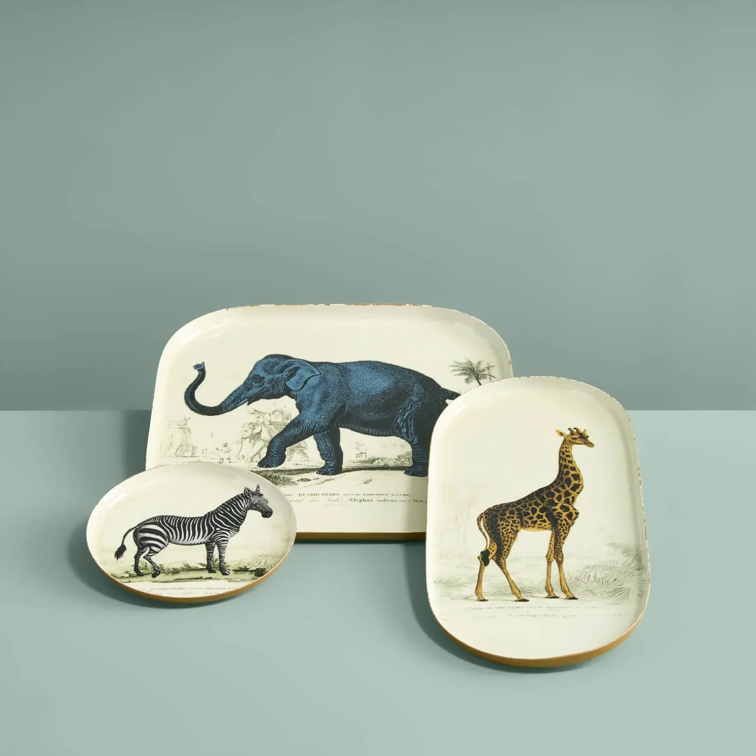 Lot de 3 plateaux Safari, motifs animaliers