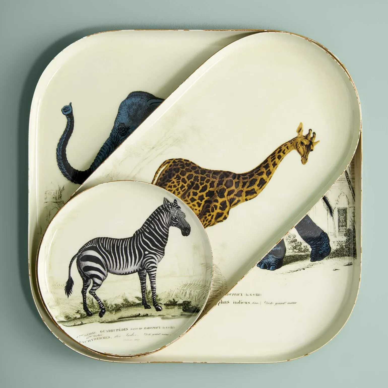 Lot de 3 plateaux Safari, motifs animaliers