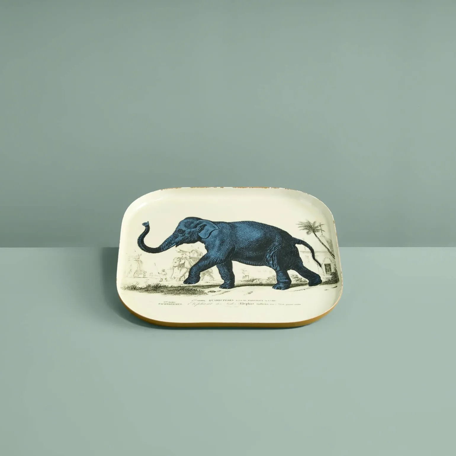Lot de 3 plateaux Safari, motifs animaliers