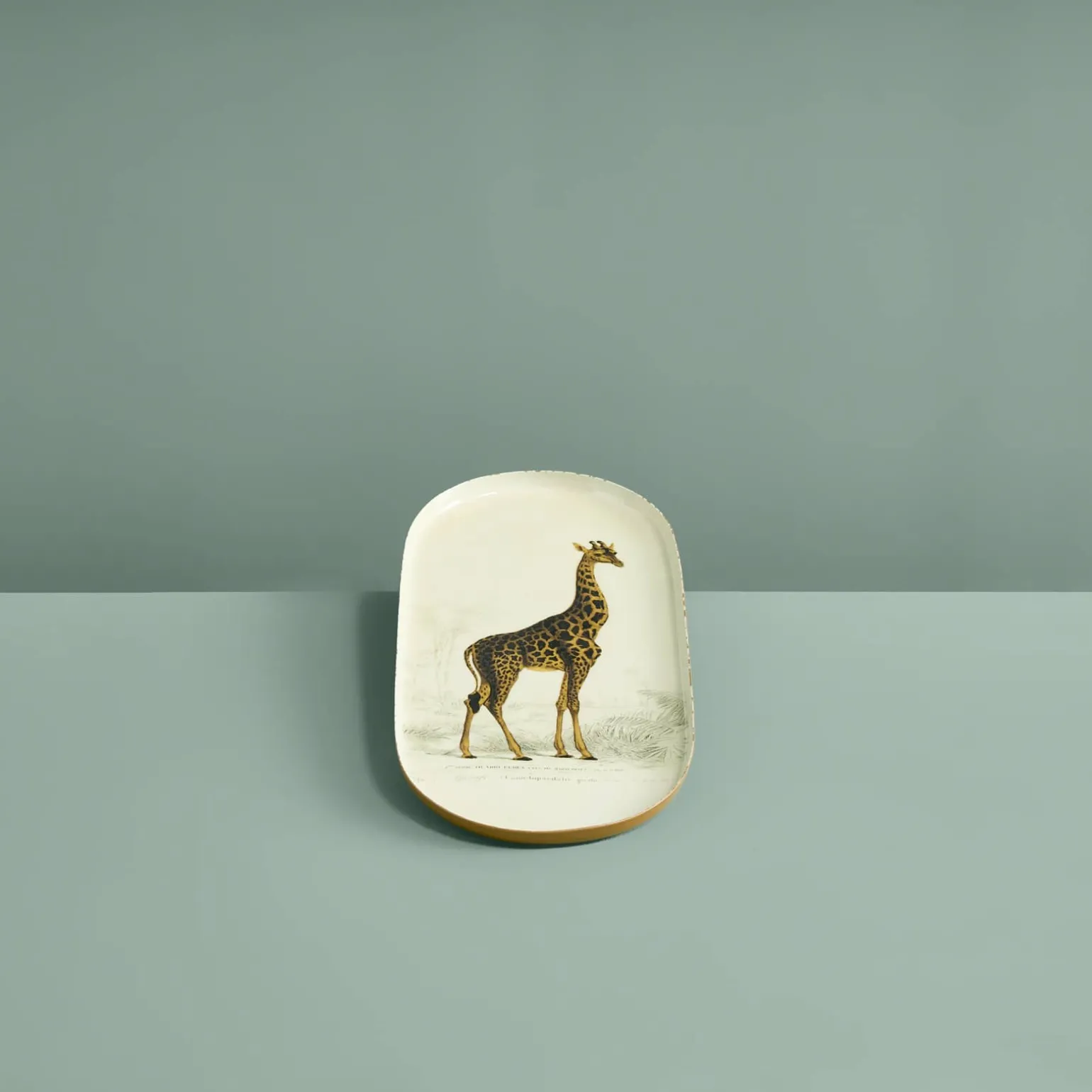 Lot de 3 plateaux Safari, motifs animaliers