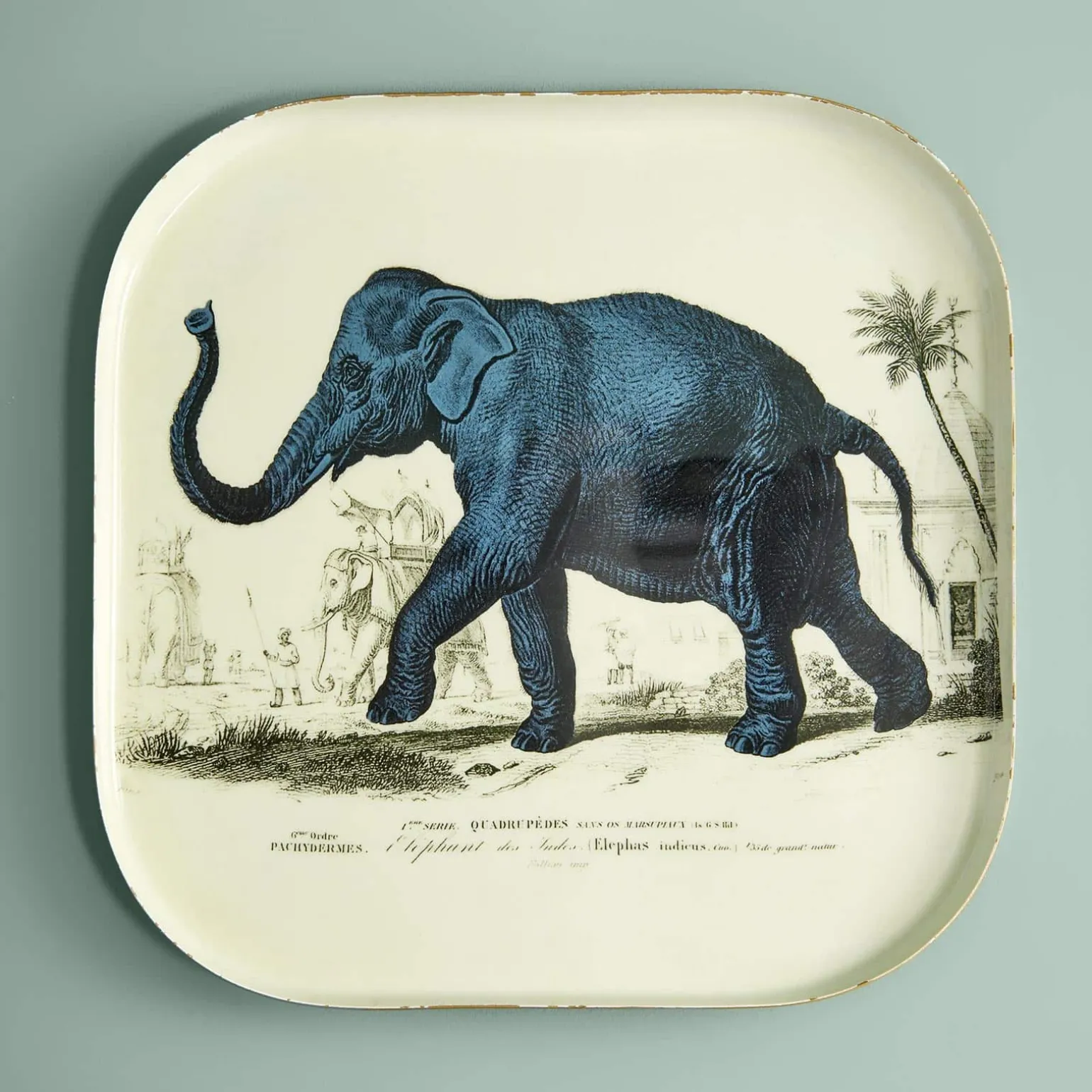 Lot de 3 plateaux Safari, motifs animaliers