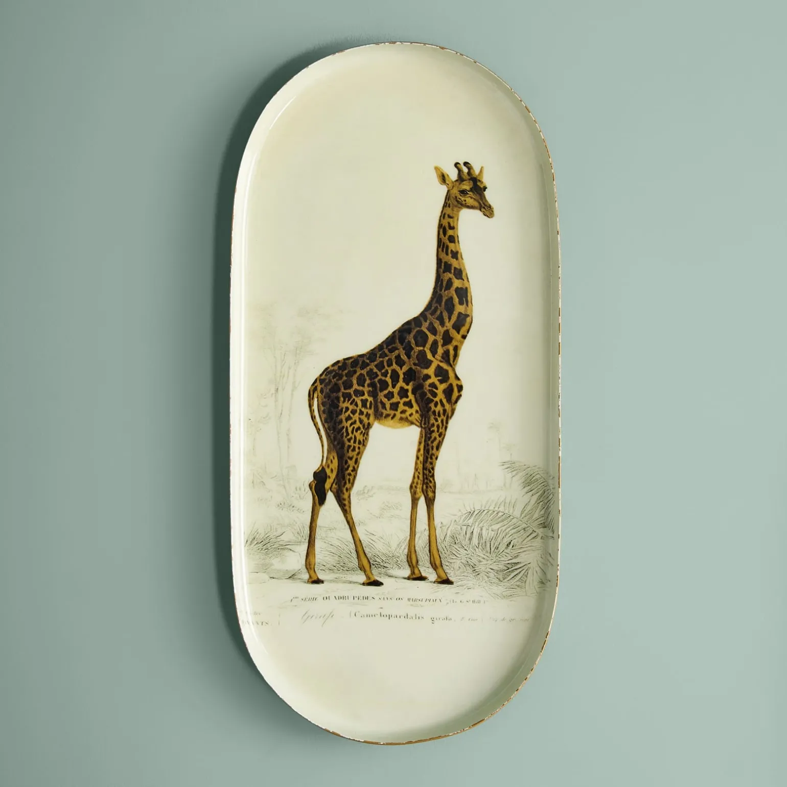 Lot de 3 plateaux Safari, motifs animaliers