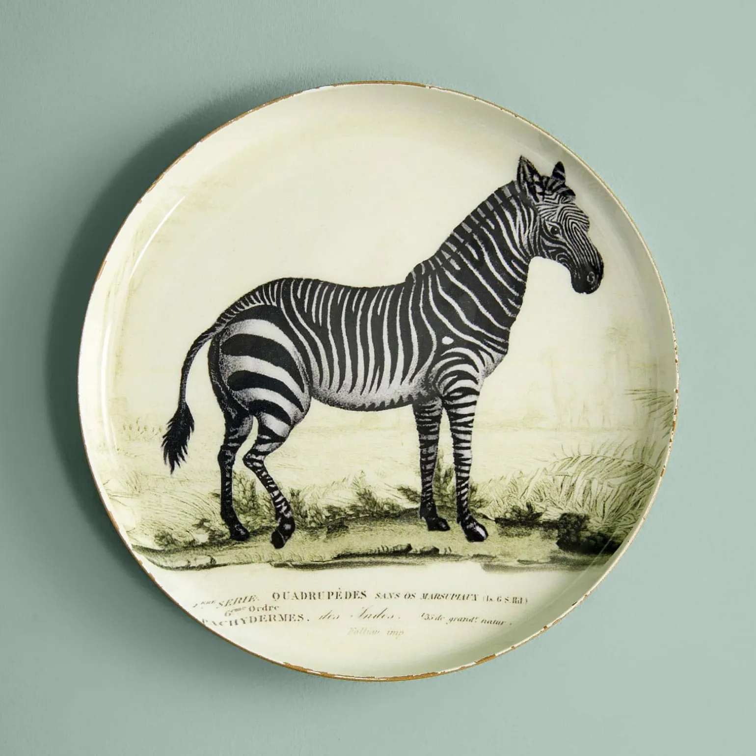 Lot de 3 plateaux Safari, motifs animaliers