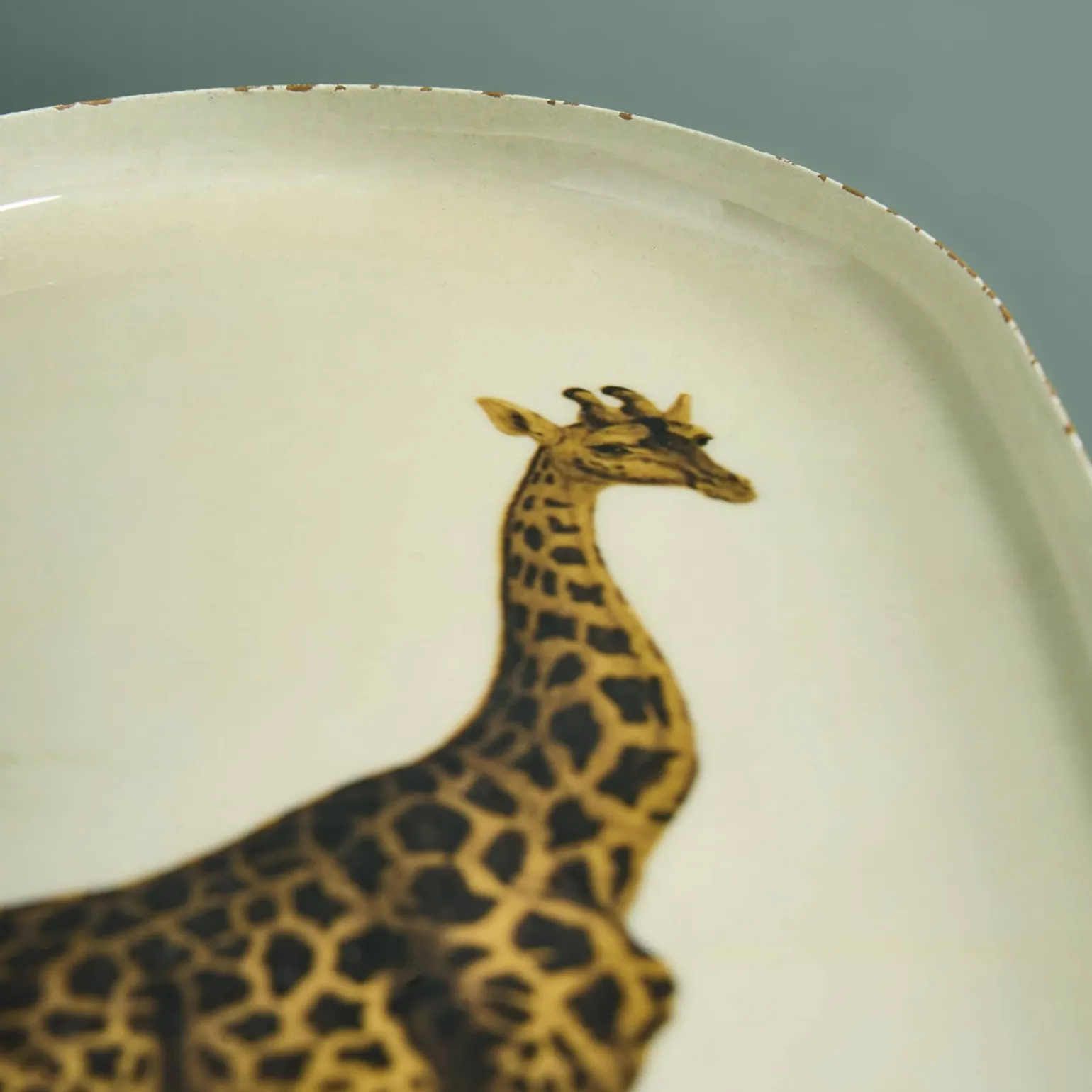 Lot de 3 plateaux Safari, motifs animaliers