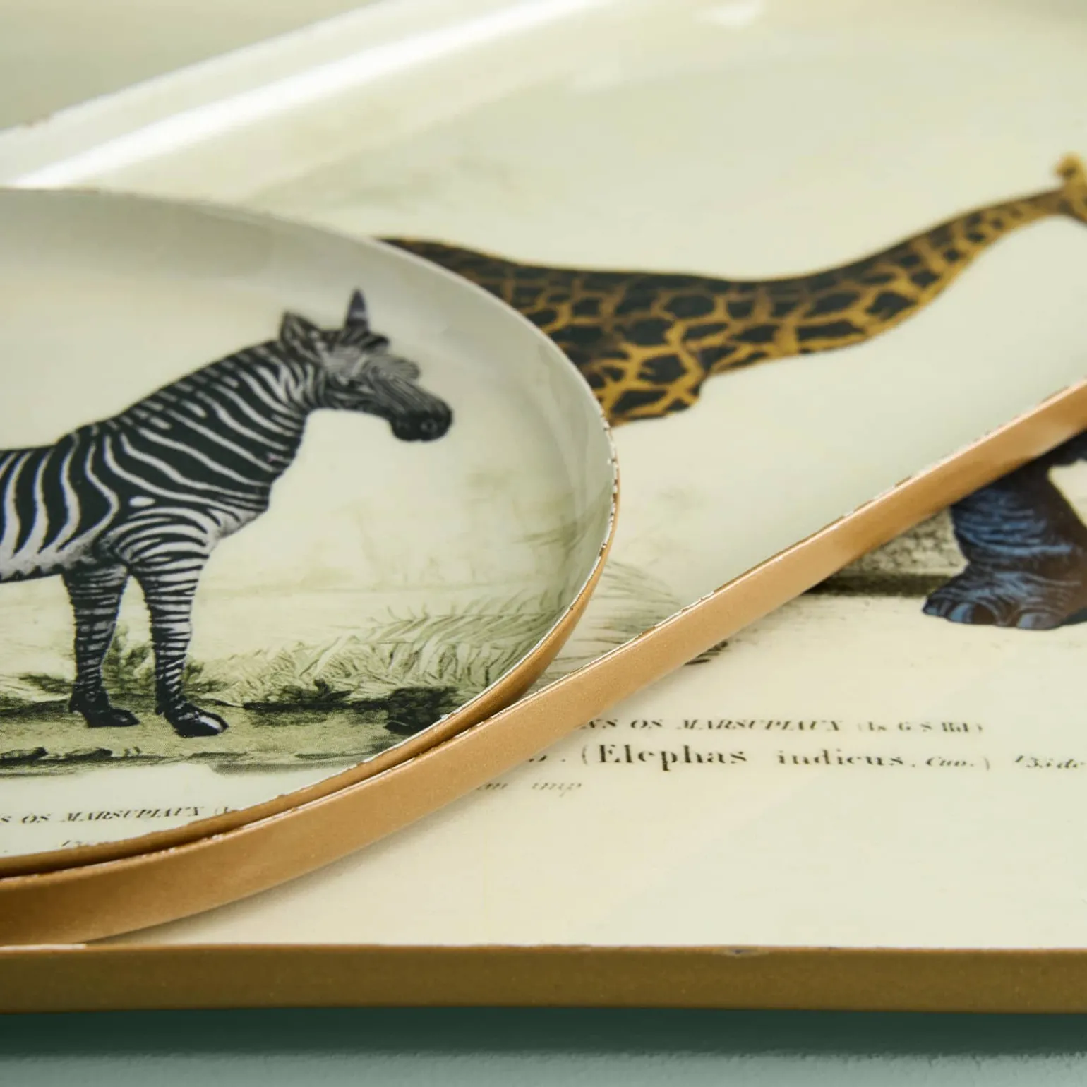 Lot de 3 plateaux Safari, motifs animaliers