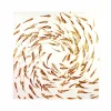 Peinture poisson Banc de poissons, blanc doré, peint à la main