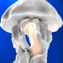 Plafonnier méduse Ava, blanc