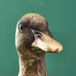 Porte-cartes Canard Son of a Duck, or