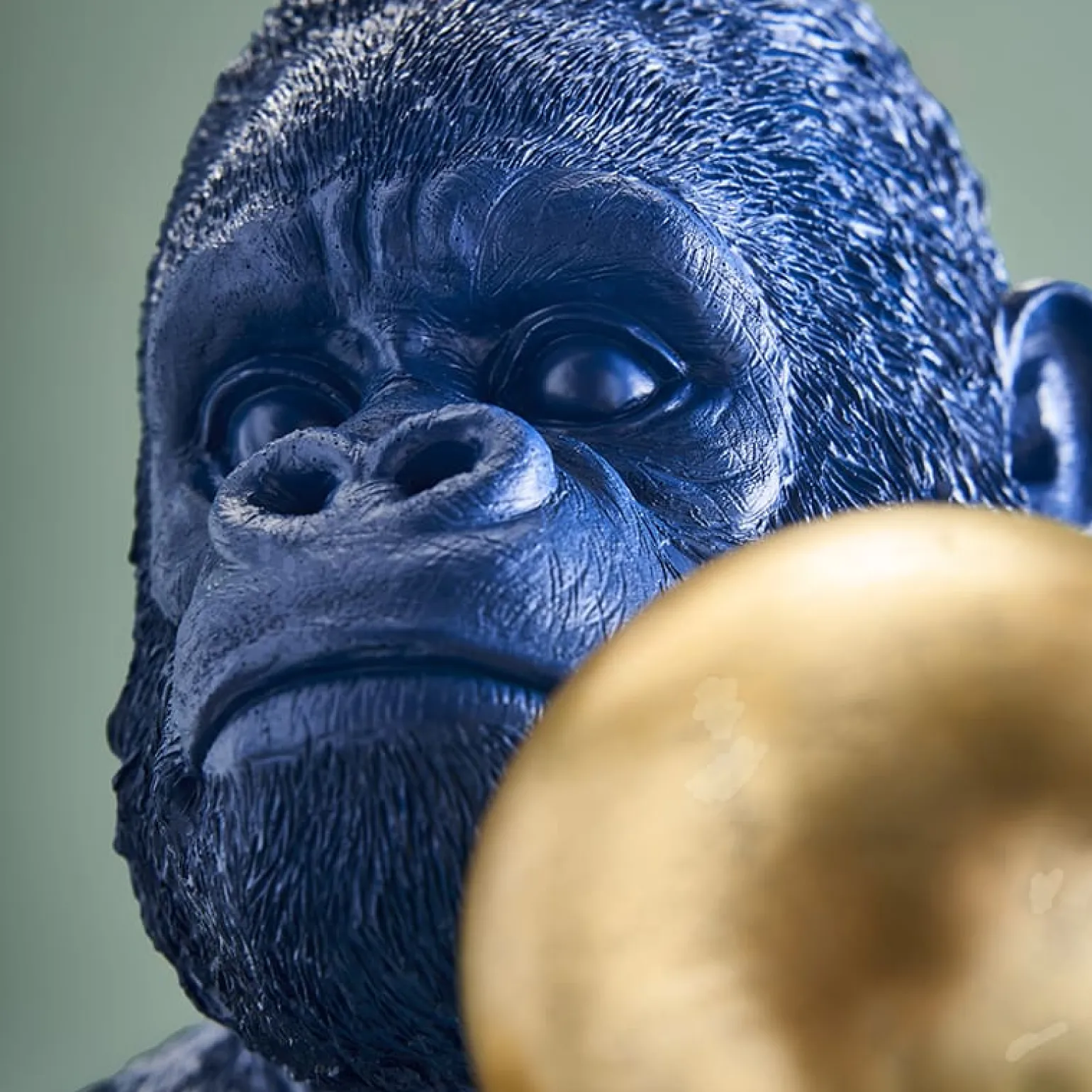 Tirelire Gorilla Rocky, bleu-or