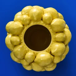 Vase citron, jaune