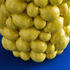 Vase citron, jaune
