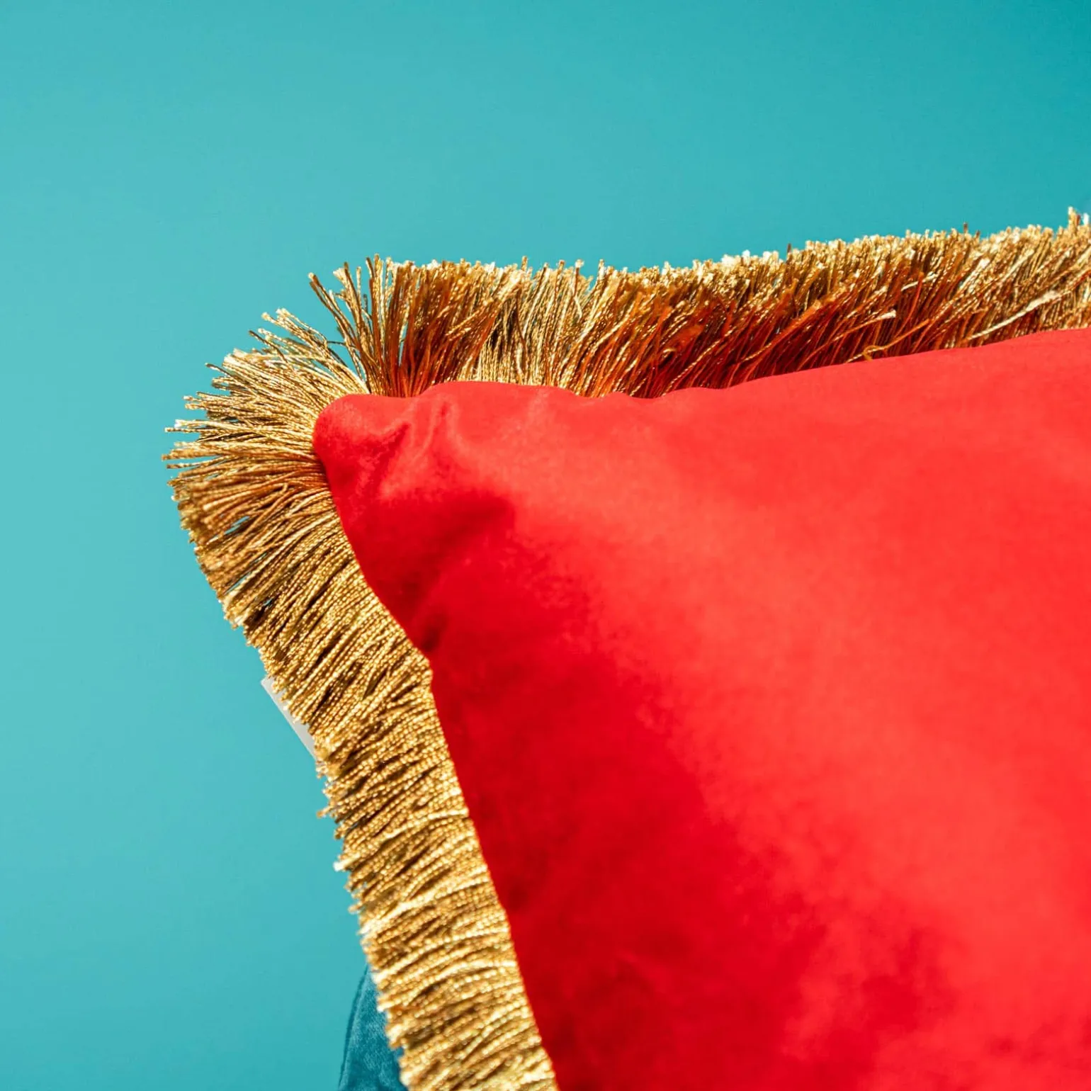 Velvet cushion