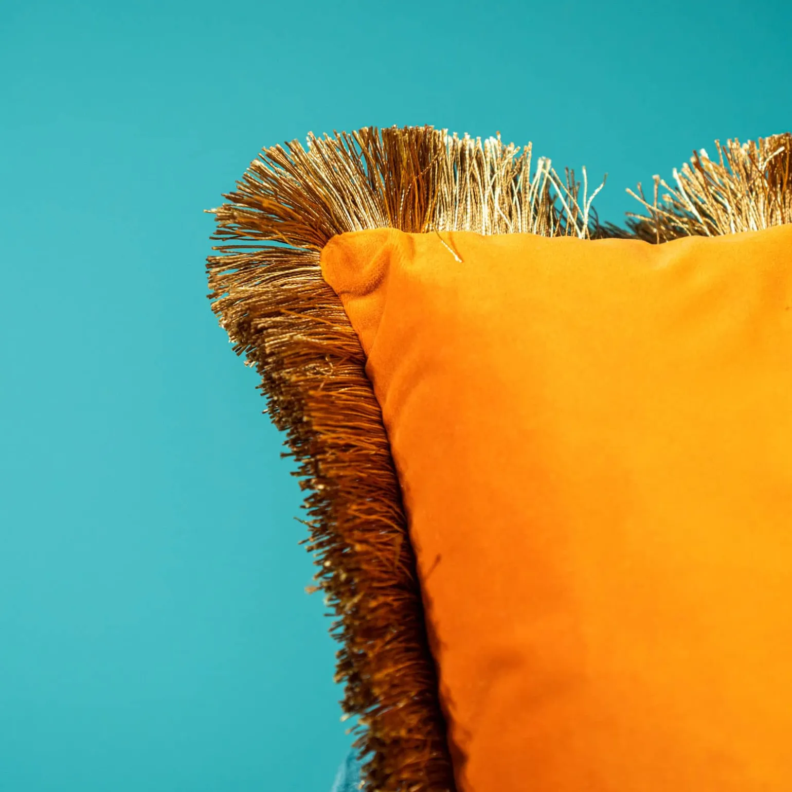 Velvet cushion